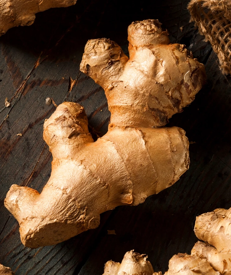 Ginger