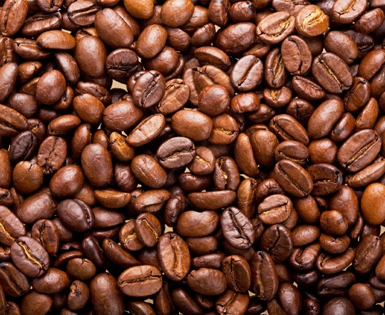 Best Coffee Arabica in Kerala